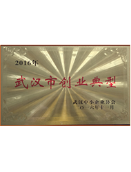 武漢市創(chuàng)業(yè)典型